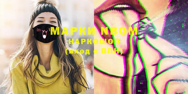 индика Покровск