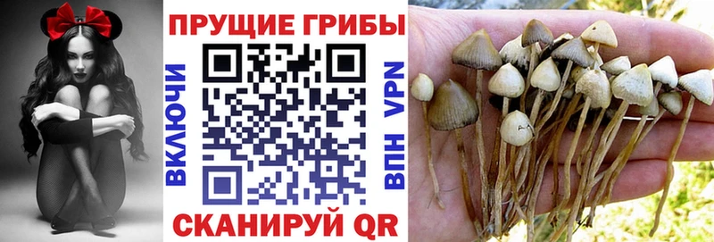 Галлюциногенные грибы Magic Shrooms  Купить  Рудня 